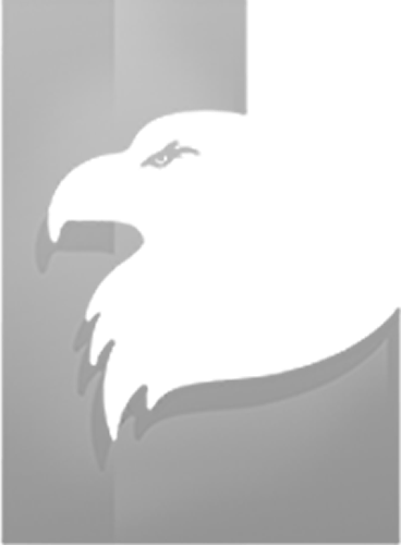 Luvanex Group Logo - Black